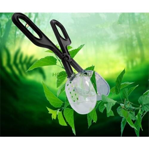 Reptile supplies Climb pet clip Breeding reptile insect breadworm breeding insect clip Fecal handling clip Good quality