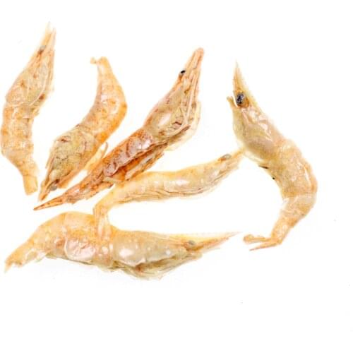 1 Bag Carp Fish Bait Pet Fish Freeze Dried Pawn Freshwater for Fishing Shrimps for Saltwater Sardine Makerel