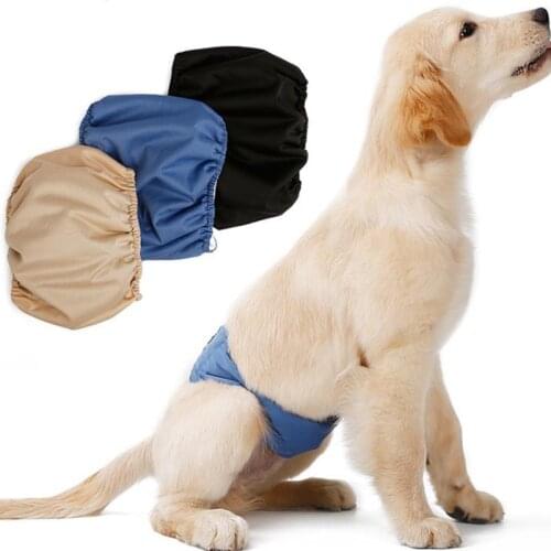 GUDPETZ Briefs For Dogs