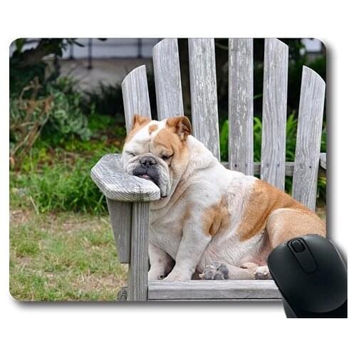 Cute Dogs,Dog Sleeping Resting Rest Canine Tired Sleepy,dogs mouse mat