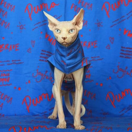 Leisure high quality Sphinx Canada hairless cat cotton brand vest spring autumn cat clothing sweater pet supplies cat shirt