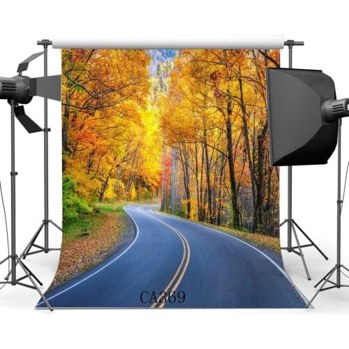 Photography Backdrop Rural Forest Trees Fall Leaves Nature Autumn Newborn Baby Kids Children Adults Portraits Background