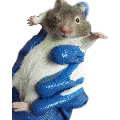 1 Pair Rubber Gloves Pet Hamster Anti Bite Bathing Small Animal Soft Accessories