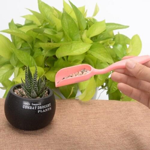 Creative Plant Transplant Set Sowing Succulents Transplant Seedlings Planted Tool For Home Garden Cleaning Tool