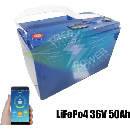 Rechargeable 2000 Deep Cycles 36V 50Ah Lifepo4 Lithium Batteries pack with bms for RV /Camper/car or Boat/inverter +10A Charger