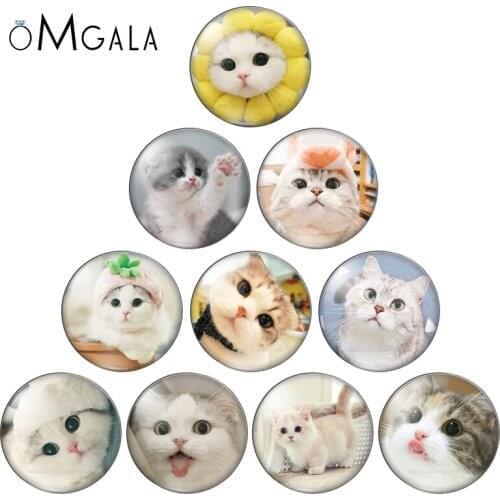 Cute CAT 10pcs mixed 12mm/18mm/20mm/25mm glass snap button Round photo glass cabochon demo flat back Making findings