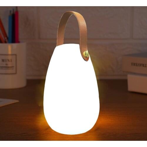 Portable LED Table Lamp Led Light Indoor Lighting Bedroom Decoration Outdoor Holiday Path Garden Lawn Lamp Lighting