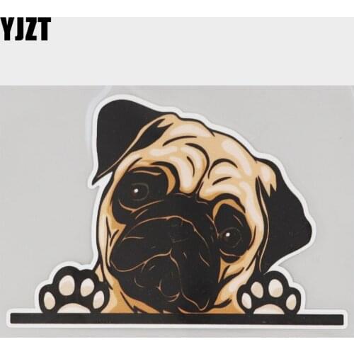 YJZT 14.2CM×9.9CM Decal Funny Pug Peeking Dogs PVC Car Sticker 11C-0380