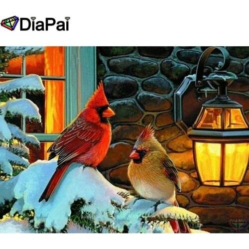 DIAPAI 100% Full Square/Round Drill 5D DIY Diamond Painting "Bird snow scene" Diamond Embroidery Cross Stitch 3D Decor A20362