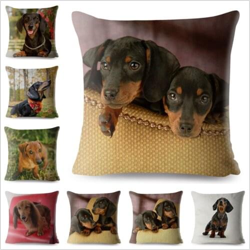 Cute Pet Dog Miniature Dachshund Print Pillow Cover 45*45 Square Cushion Covers Linen Pillow Case Sofa Home Decor Pillows Cases