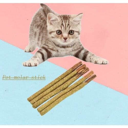 5pcs Pet Cat Chew Stick Cat Snacks Natural Toy Catnip Award Molar Clean Teeth Cat Supplies Portable Funny Cat For Home Pet Cat