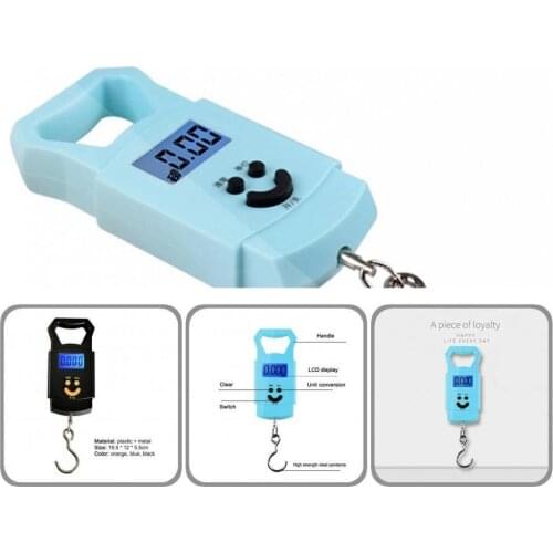 Accurately Weighing Mini Multifunctional Handheld Stable Fishing Scale for Angling