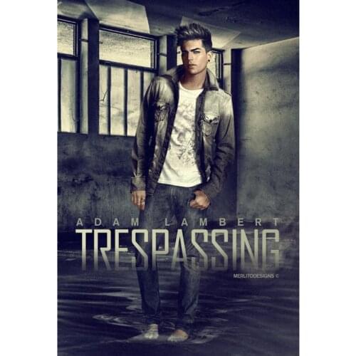 New 5D DIY Full square/round diamond painting singer Adam Mitchel Anselm Lambert 3D embroidery cross stitch Home dector gift