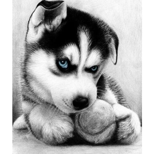 5D Diy Diamond Painting Labrador Custom Picture Dog Needlework Embroidery Full Diamond Painting Rhinestone Christmas Decoration