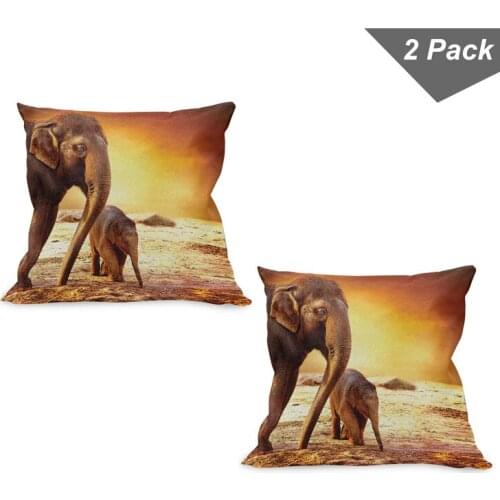 Africa Elephant Pillow Cushion Cover Pack of 2 Baby and Mommy Animal Sunset Zippered Double-Sided Accent for Living Room