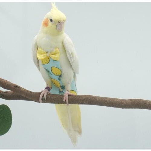 Bird Parrot Diaper with Bowt Flight Suit Nappy Clothes for Budgerigar Lovebird Conure Cockatiel Parakeet Small Medium Large Bird