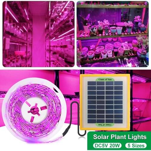 2/3/5M Solar Powered LED Grow Light Full Spectrum Growth Light Strip 5V 2835 Phytolamp For Plants Greenhouse Hydroponic Growing