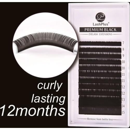 New Arrived LASHPLUS Custom Your Logo Individual Eyelash Extension Silk Lashes Classic Eyelash Extensions