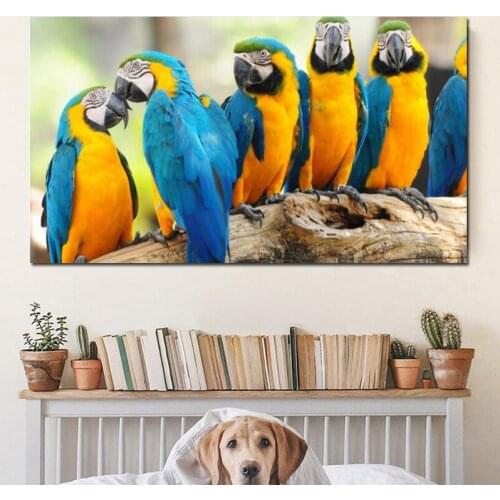 RELIABLI ART Canvas Paintings Animal Posters Parrots Pictures For Home Wall Art Prints For Living Room Decoration No Frame