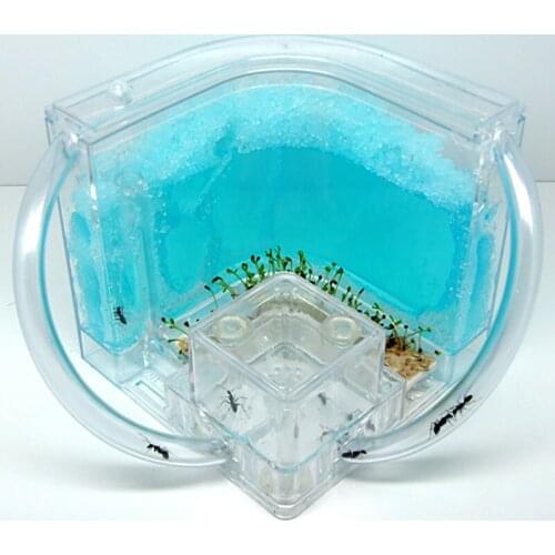 Ecological Ant Toy Ant Farm Ant Workshop Nest Castle Home Ant Queen Ant Nest Ants Tube Acrylic Box Ant Nest