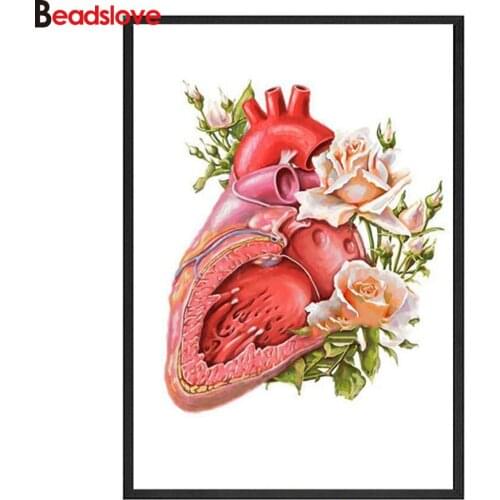Diy square round drill diamond painting Organ Anatomy Flower Medicine stitch mosaics Full set 5d diamond embroidery