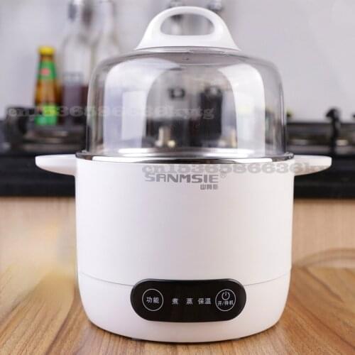 Mini Electric Pot Multi-function Electric Heating Pot for Student Dormitory Electric Cooking Pot Warmer Pot Steamer Cooker