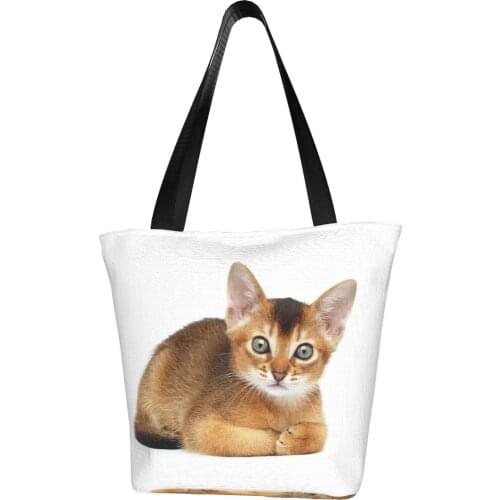 Cute Cat Shopping Bag Aesthetic Cloth Outdoor Handbag Female Fashion Bags