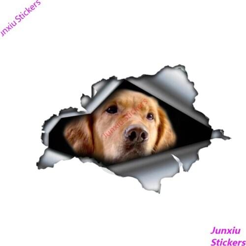 Interesting 3D Golden Retriever Colorful Car Stickers and Decals for Window Decal Laser Waterproof Car Accessories KK 13*9cm