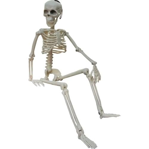 20 pcs Active Human skeleton Model Anatomy Skeleton Model Medical Learning Halloween Party Decoration Skeleton Art Sketch