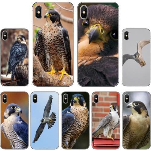 Soft Case Covers Peregrine-Falcon-fastest-animal-Birds For Sony Xperia XA Z3 Z5 XZ1 XZ2 Z Z1 Z2 compact M2 M4 M5 C4 C6 E3 T3
