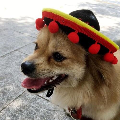 Mini Sombrero Funny Pet Hat Adjustable Mini Mexican Style Straw Hat Summer outdoor For Dog Cat Party Supplies For Dog Costume #7