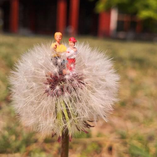 Товары для скалолазания и альпинизма FunTrying China At AliExpress