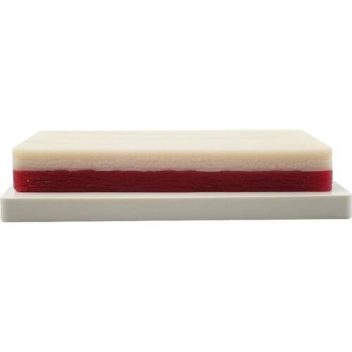 Simulation Skin Surgery Stitch Exercises Acupuncture Practices Skin Model