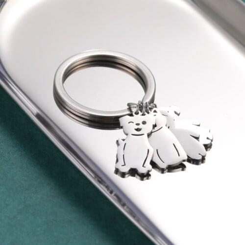 My Shape Pets Boy Girl Name Personalized Keychain For Men Women Stainless Steel Cat Dog Custom Pandent Key Ring Chain Gift