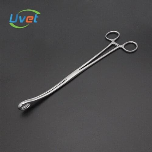 Uvet Sponge forceps stainless steel tissue surgical Egg forceps 18cm 25cm Straight elbow head gynecological surgical forceps