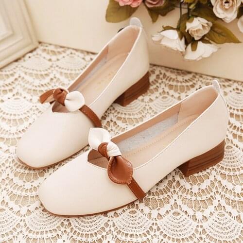 Thick-heel Mary Jane shoes 2020 new fall fairy style shallow mouth grandma shoes versatile soft sole square toe mid-heel shoes