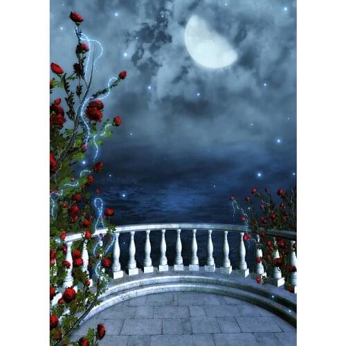 Red Flowers Balcony Moon Sparkle Photographic Backdrop Customized Background for Children Baby Portrait Photocall Fond Photo