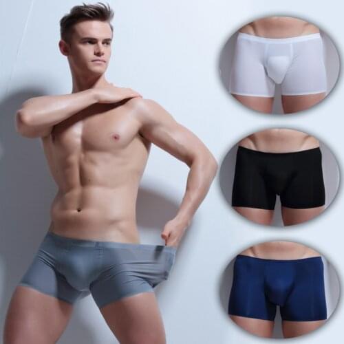 4 pcs Boxers Sexy Mens Ice Silk Transparent Seemless Underwear M-XXXL 2019 Man Breathable Shorts