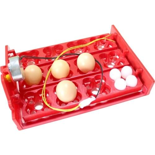 12 Eggs/48 Birds Eggs Incubator Turn Eggs Tray 220V / 110V / 12V Motor Chicken Bird Hatching Equipment DIY Incubator Accessories