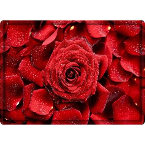 Doorway Water Absorbent Rose Shoes Mat Anti Slip Valentines Day Doormat Carpet Living Room Bathroom Entryway Mini Floor Rug Mat