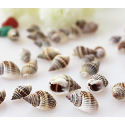 10pcs/lot sea Conch shell necklace aquarium decoration diy natural shells sea star