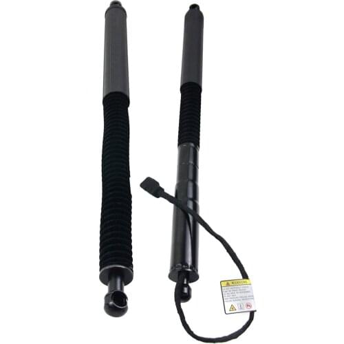 AP03 Pair LEFT + RIGHT Tailgate Spring Strut 51247497482 51247397322 for BMW X3 G01 G08 F97 2018