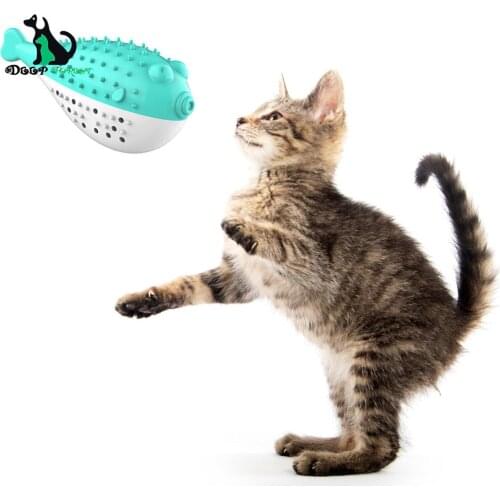 New Cat Toy Mint Simulated Fish Cat Toothbrush Bite-Resistant Pedigree Molars CD-013