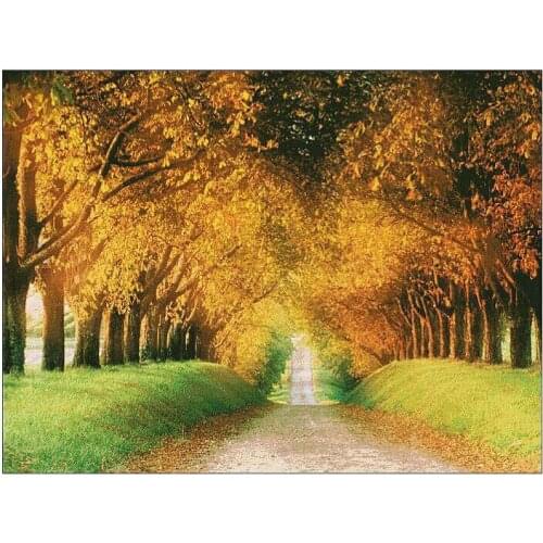 Embroidery Package High Quality Cross Stitch Kits Unopen Luxurious 1 Piece Happiness Road Free Shipping