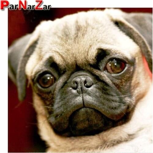 ParNarZar Pug Dog DIY 5D Diamond Painting Full Round / Square Drill Painting Kits Rhinestone Picture Art Craft Home Wall Decor