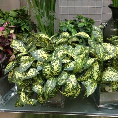 Artificial Spotted Green Leaves Plastic Grass Bush Plant Home Decoration