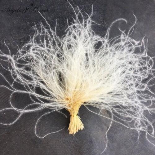 Hot Dried Flower Feather Grass Plants Reed Grass Immortal Flower Glass Cover DIY Wedding Flower Materials Decor Home Wholesales
