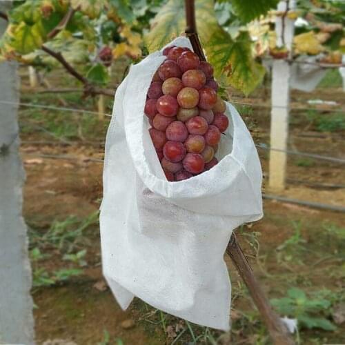 100pcs Non-woven bag light-transparent breathable fruit bag grape bag anti-insect bird-proof dust-proof wire drawstring Grow bag
