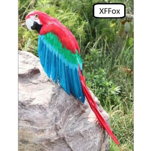 Big real life colourful parrot model foam&feather simulation wings parrot bird gift about 50cm xf0153