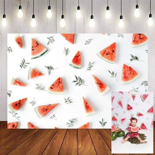 Photography Backdrop Watermelon Birthday Photocall Painting Baby Shower Custom Summer Fruit Photo Background newborn children